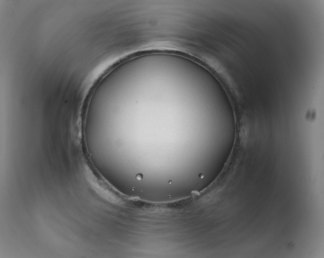 X0000112211372200908211508