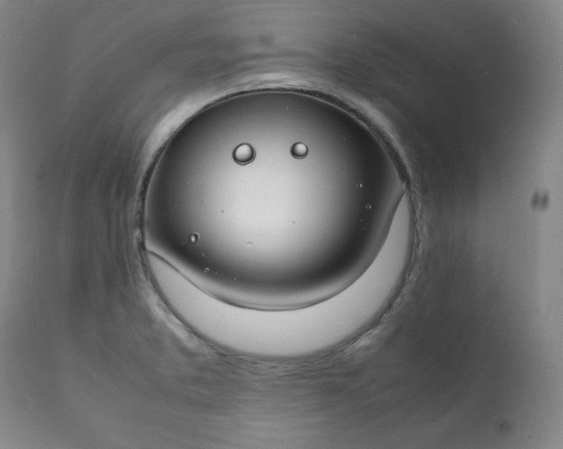 X0000112211373200908211508