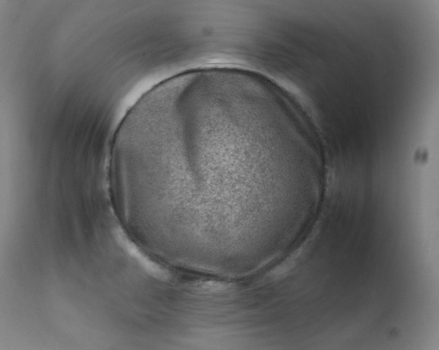 X0000112211374200908211508