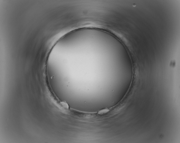 X0000112211375200908211508