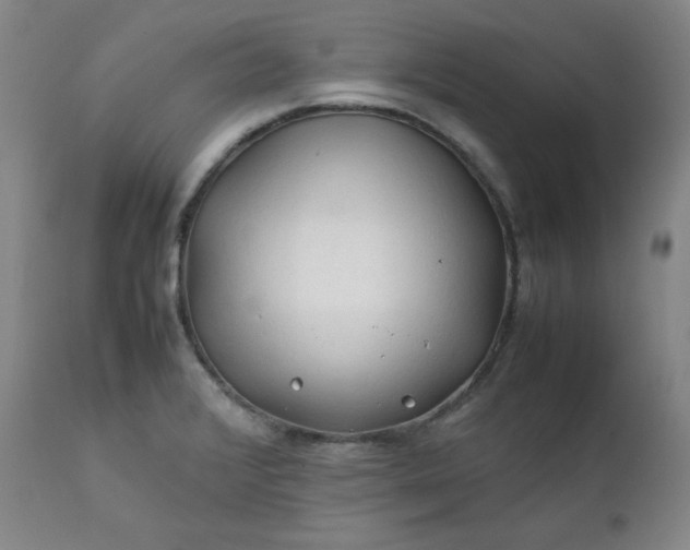 X0000112211376200908211508