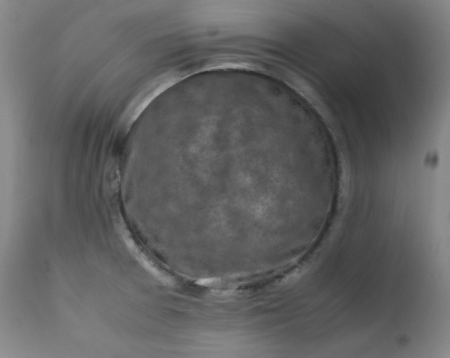 X0000112211377200908211508