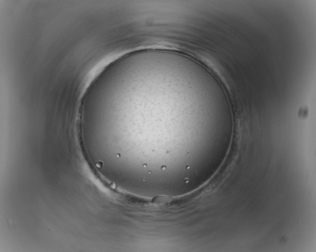 X0000112211379200908211508