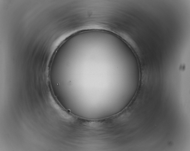 X0000112211380200908211508