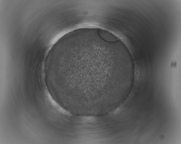 X0000112211382200908211508