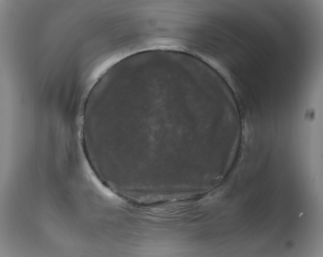 X0000112211383200908211508