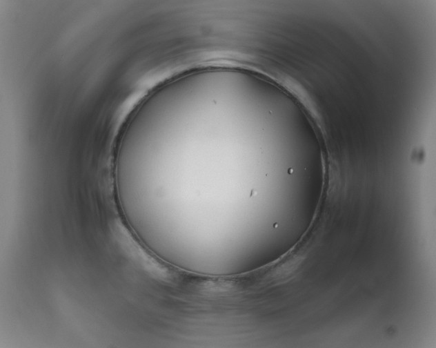 X0000112211384200908211508