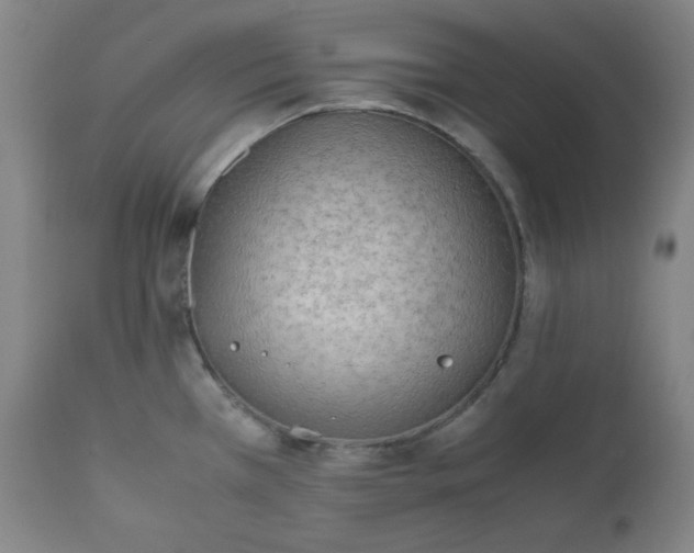 X0000112211385200908211508