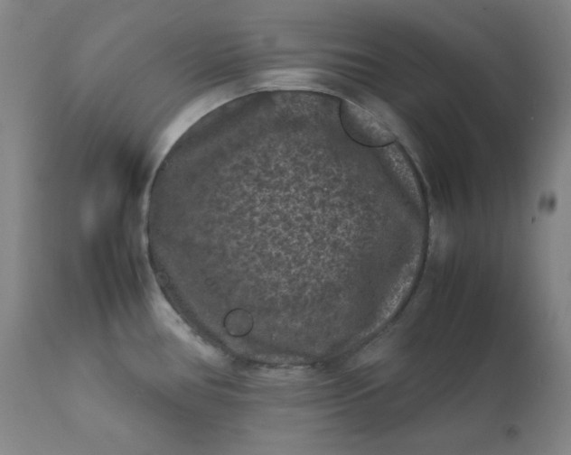 X0000112211386200908211508