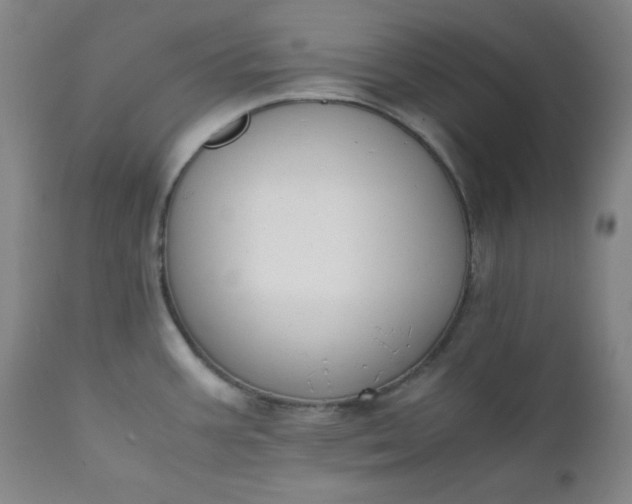 X0000112211387200908211508