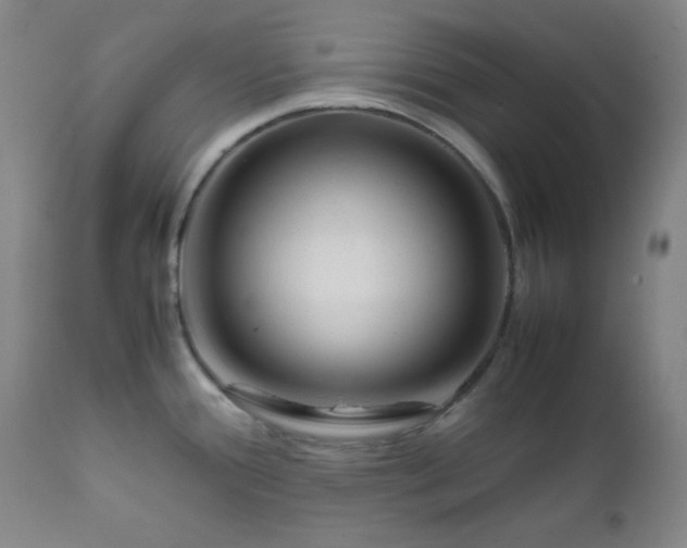 X0000112211388200908211508