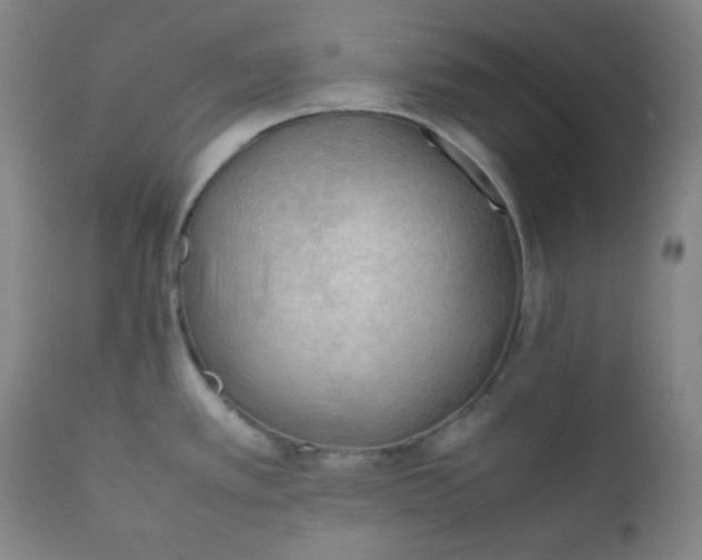 X0000112211389200908211508