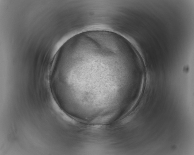 X0000112211390200908211508