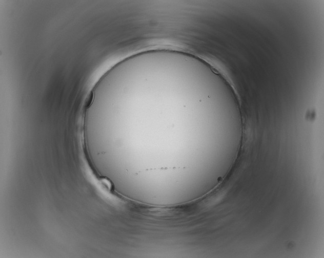 X0000112211391200908211508