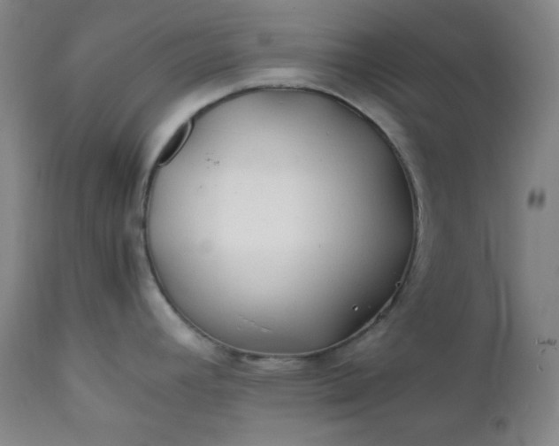 X0000112211392200908211508