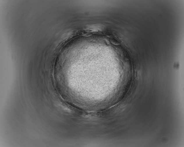 X0000112211393200908211507