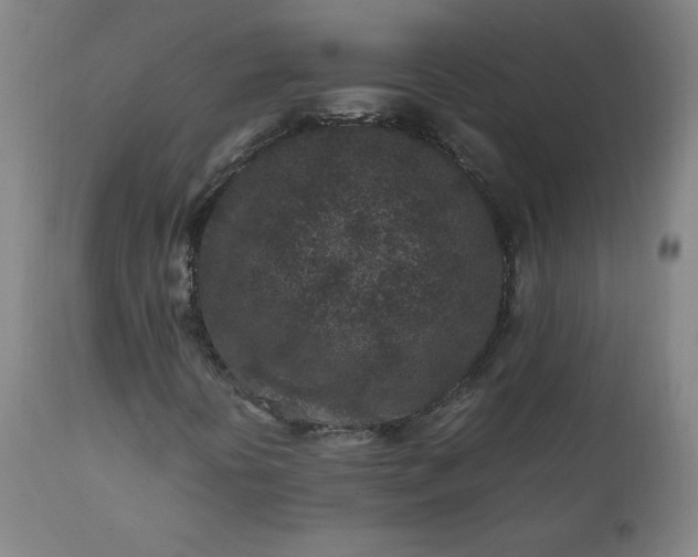 X0000112211394200908211507