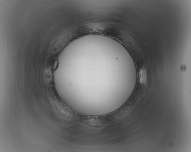 X0000112211395200908211507