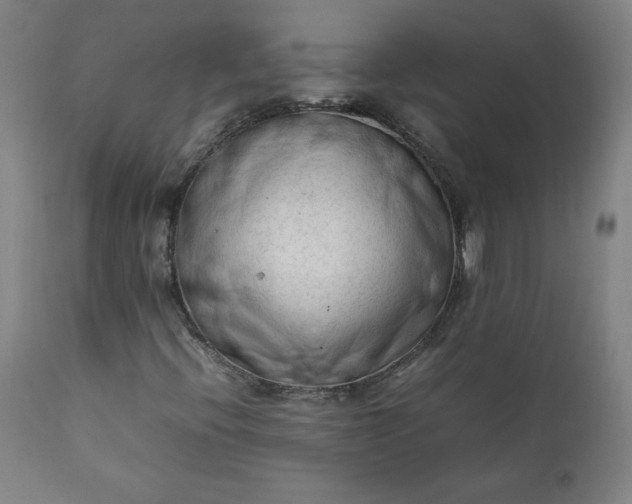 X0000112211396200908211507