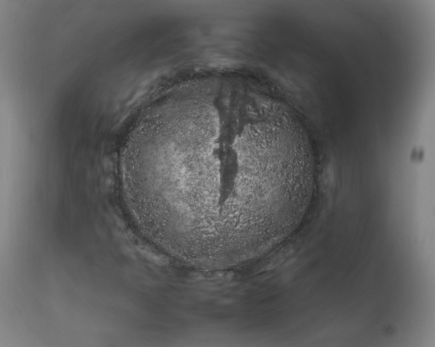 X0000112211397200908211507