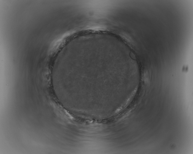 X0000112211398200908211507