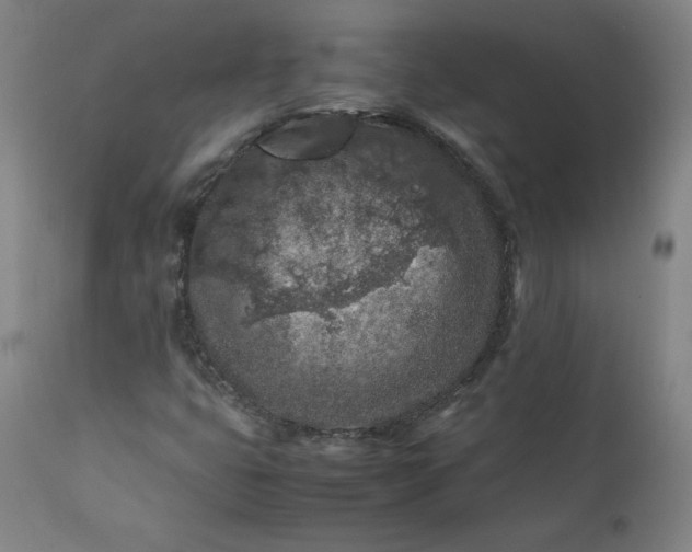 X0000112211399200908211507