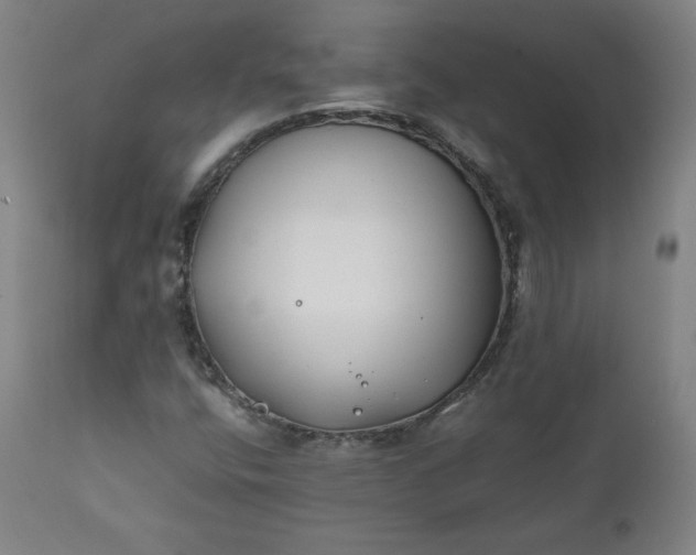 X0000112211400200908211507