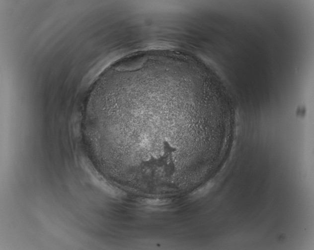 X0000112211401200908211507