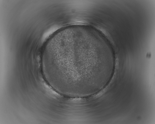 X0000112211402200908211507