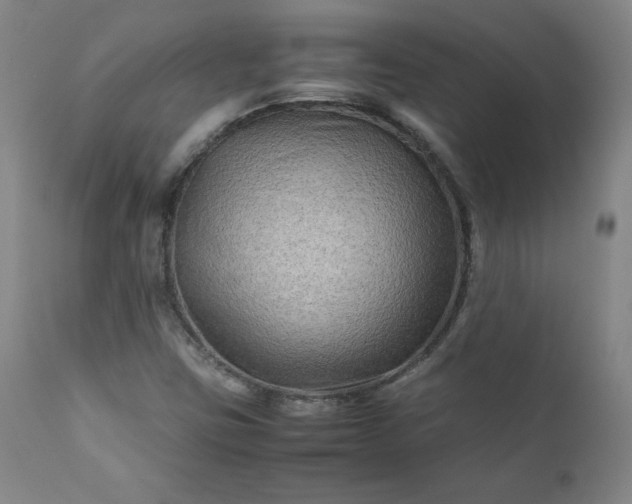 X0000112211403200908211507