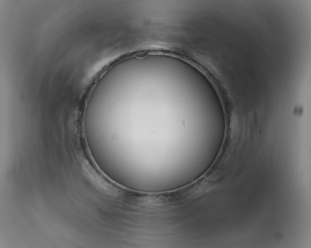 X0000112211404200908211507