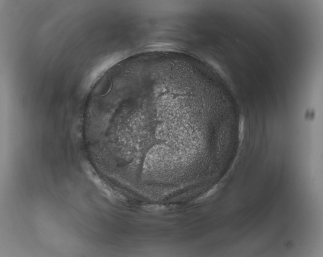 X0000112211405200908211507