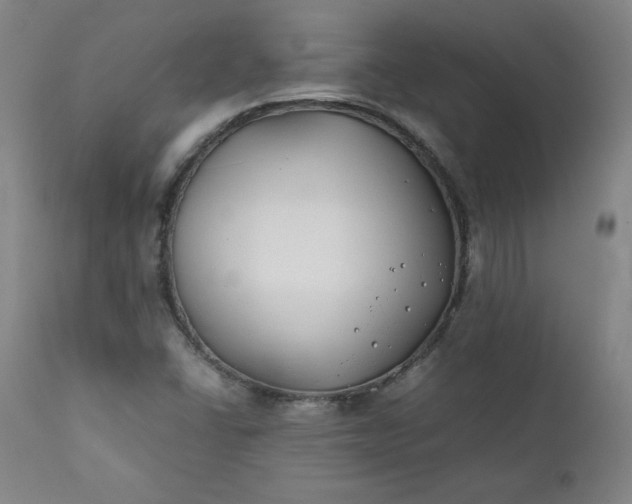 X0000112211406200908211507