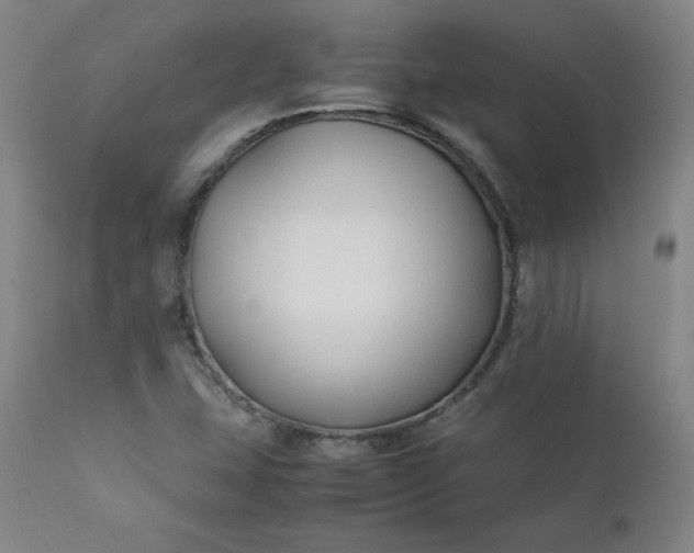 X0000112211407200908211507