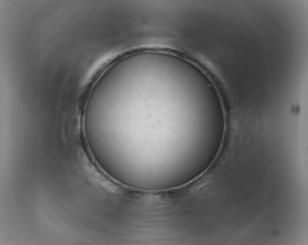 X0000112211408200908211507