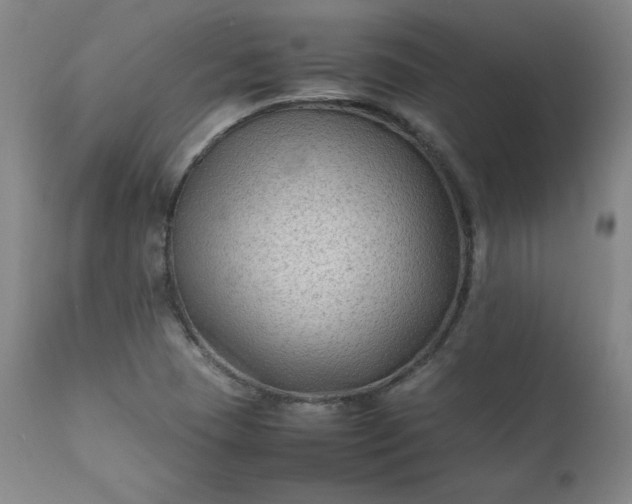 X0000112211409200908211507