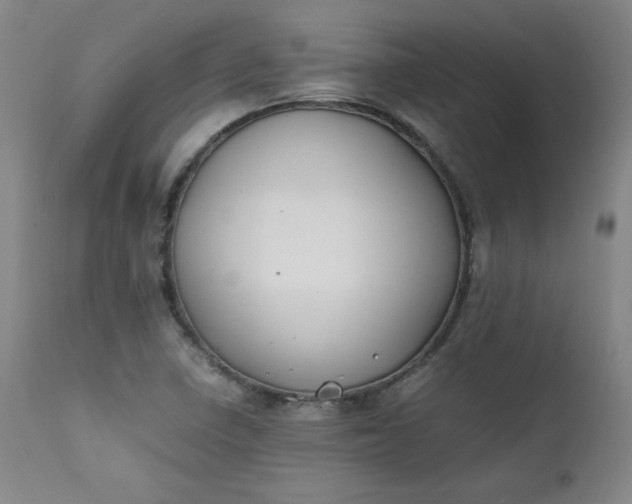 X0000112211410200908211507