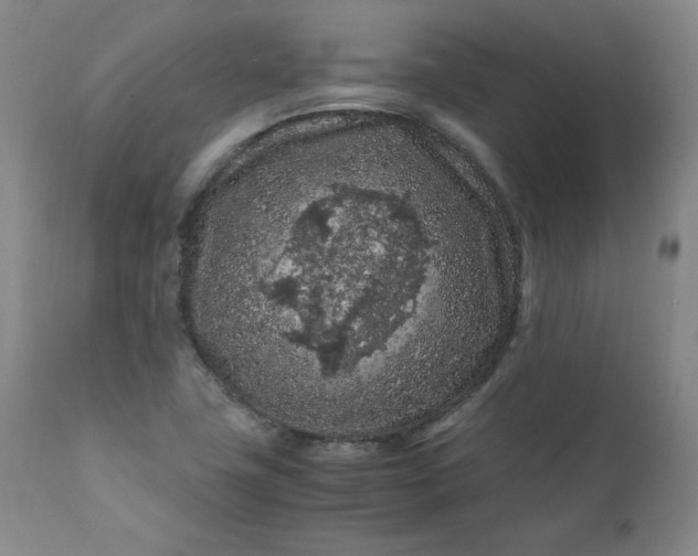 X0000112211411200908211507