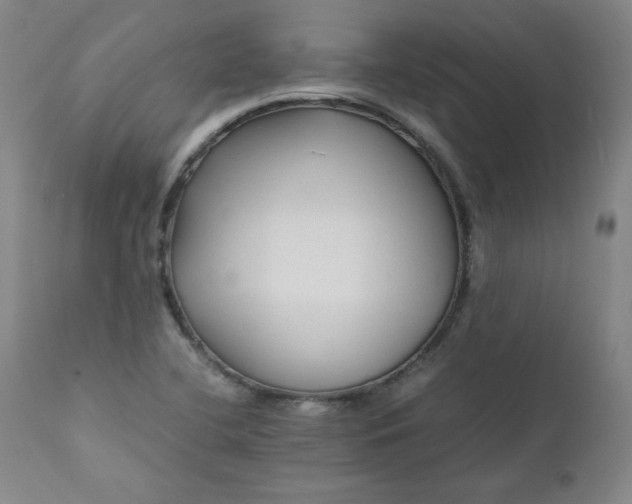 X0000112211412200908211507