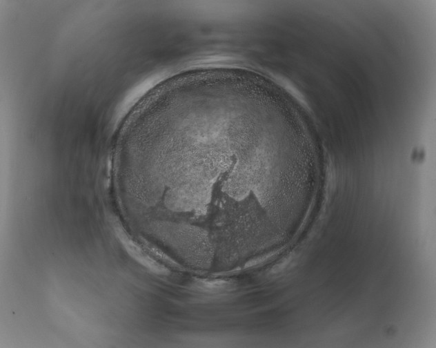 X0000112211413200908211507