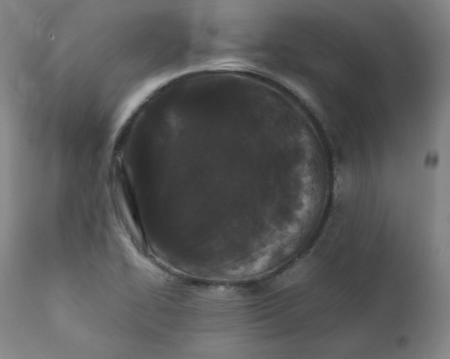 X0000112211414200908211507