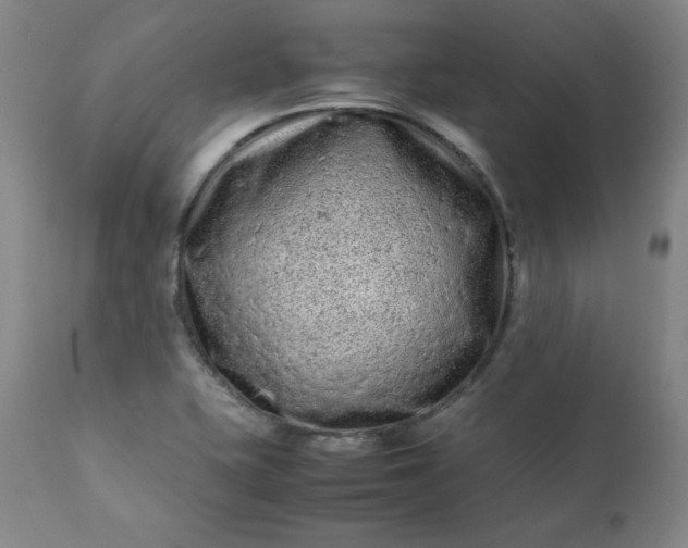 X0000112211415200908211508