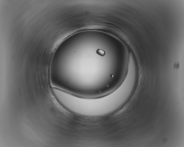 X0000112211417200908211508