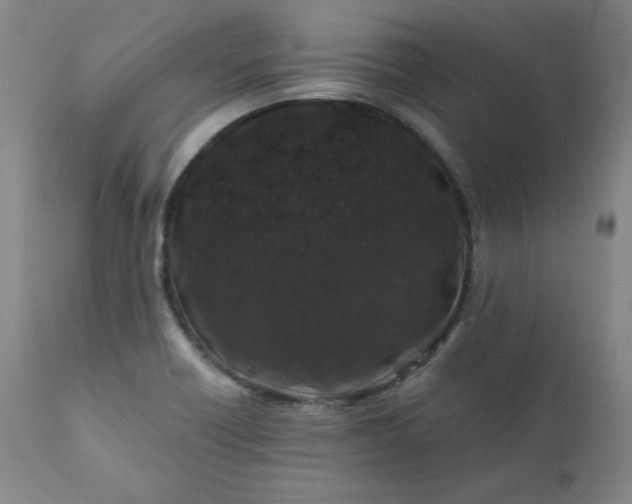 X0000112211418200908211508