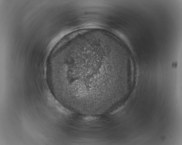 X0000112211419200908211508