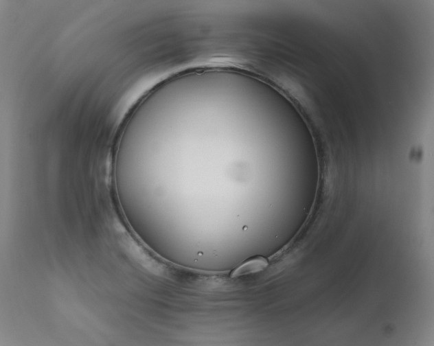 X0000112211420200908211508