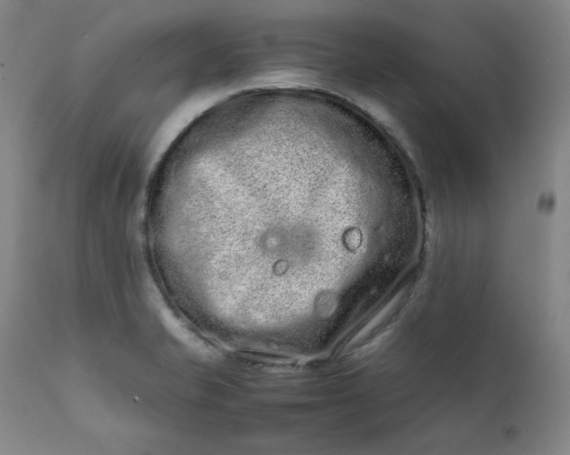 X0000112211421200908211508