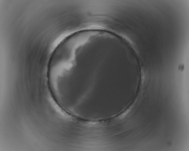 X0000112211422200908211508