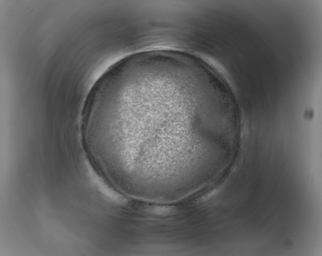 X0000112211423200908211508