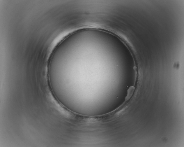 X0000112211424200908211508